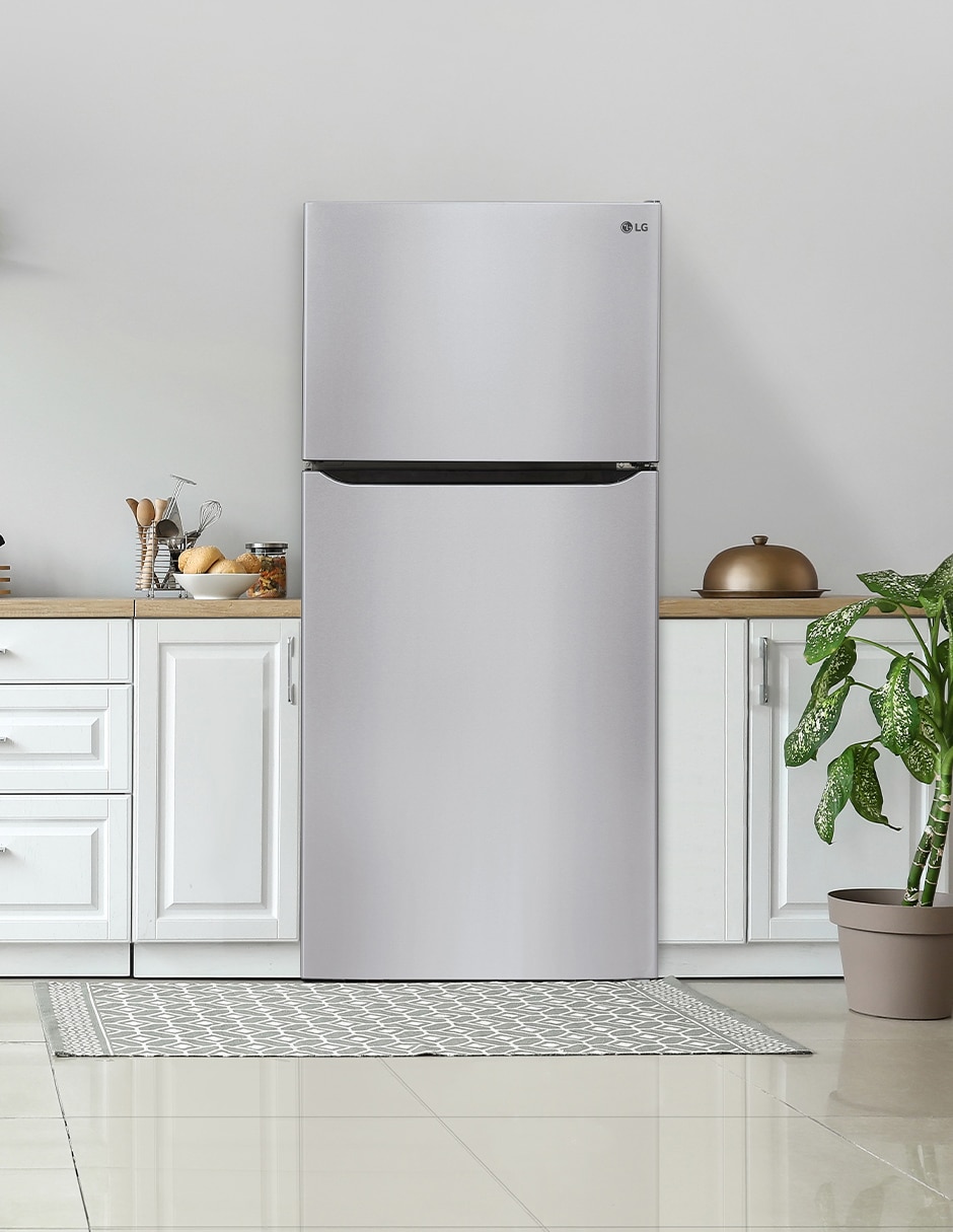 Refrigerador 24 pies Inverter GT24BS.ASTFMXM 10