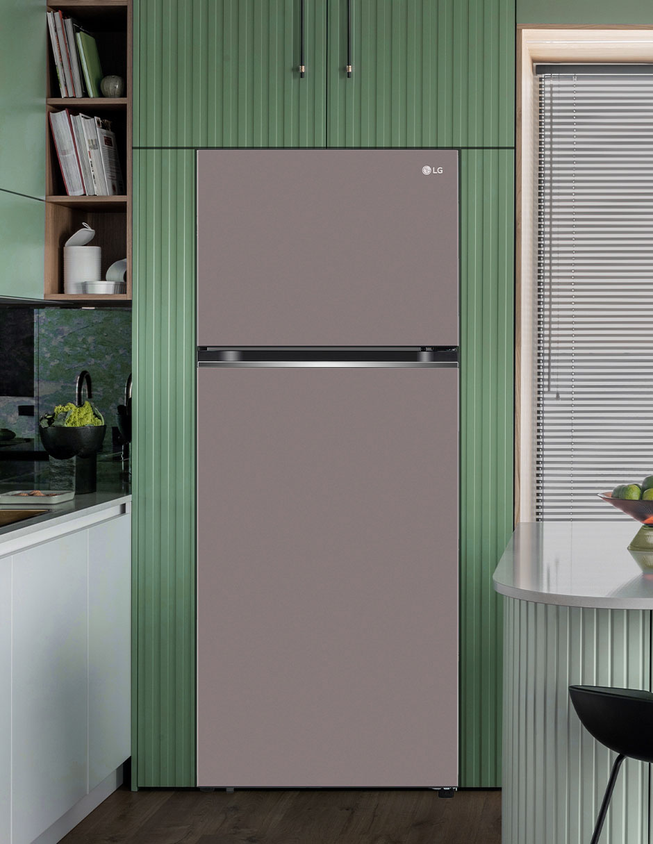 Refrigerador Lg 14 pies cúbicos VT40BJP