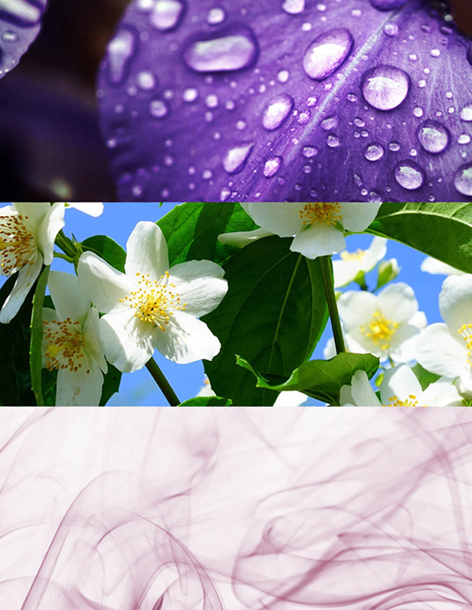 Eau de toilette Daisy para mujer 3