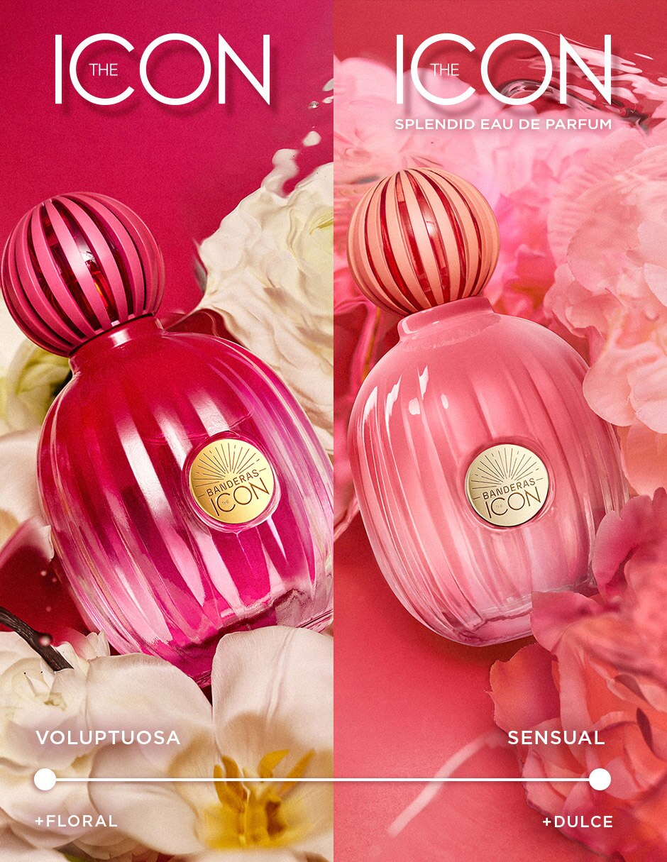 Set Eau de parfum The Icon Splendid para mujer 7