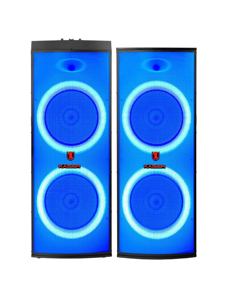 Bafle de piso kds-1501 6