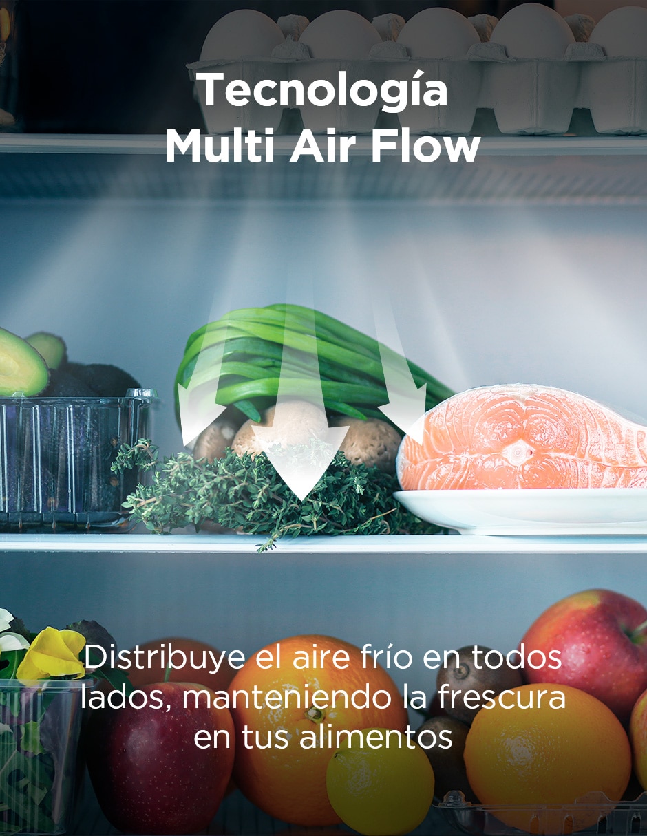 Refrigerador 22 pies inverter y no frost y fábrica de hielo SBS22GWD 5