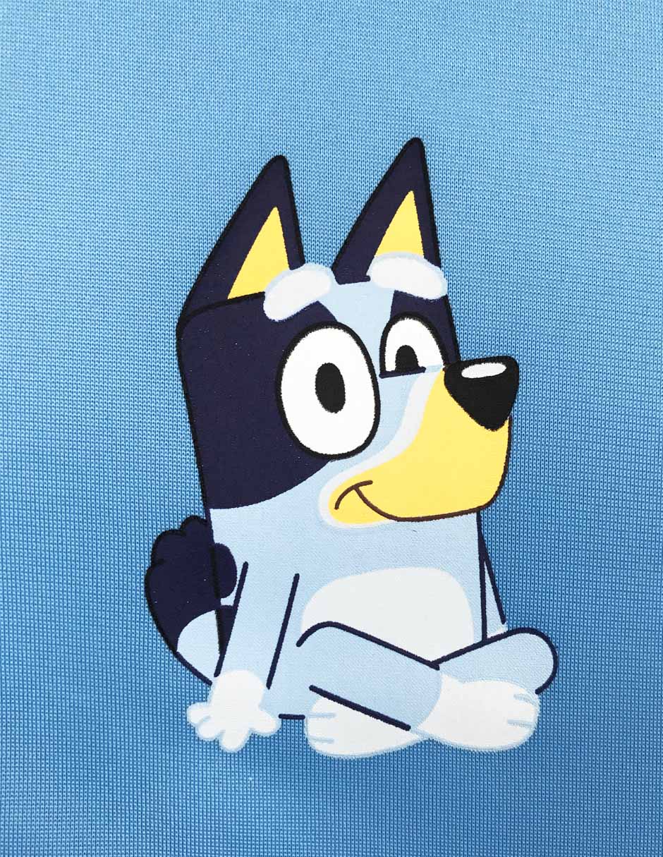 Chamarra Bluey para niño