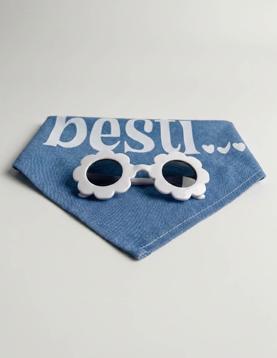 Mascotas