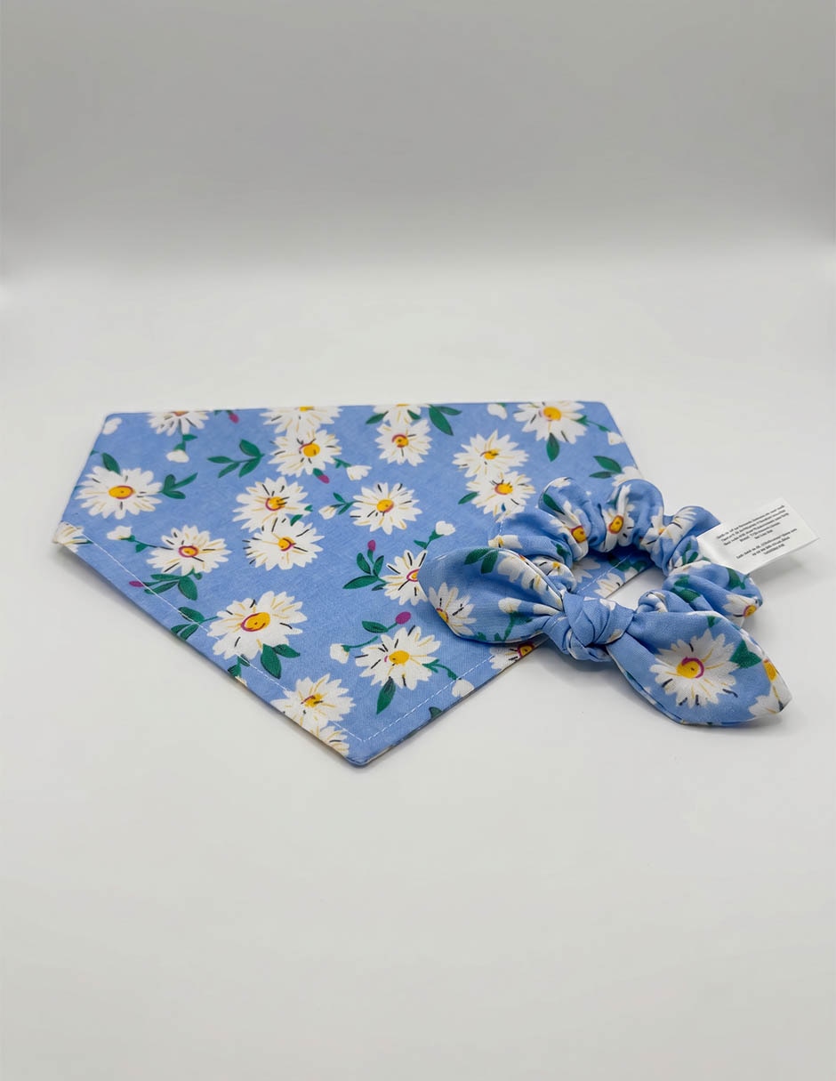 Set De Accesorios Para Mascotas