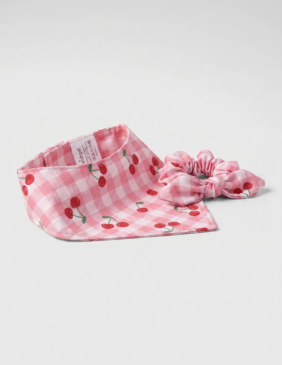 Set De Accesorios Para Mascotas 2