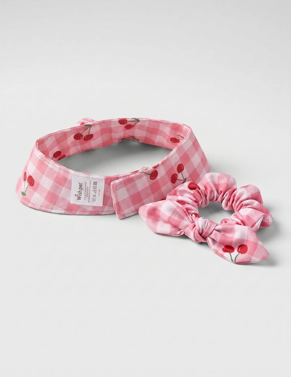 Set De Accesorios Para Mascotas 3