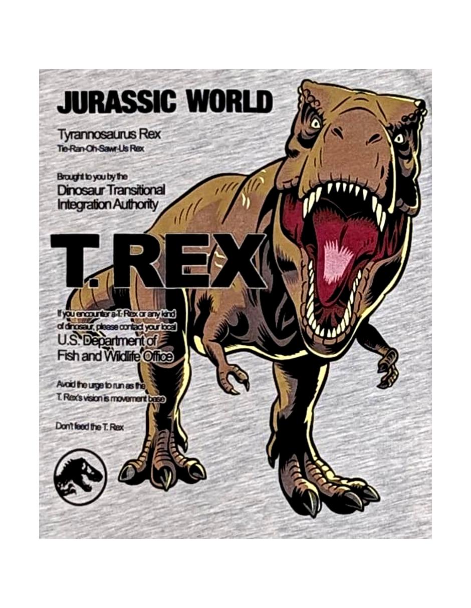 Set playera Jurassic World manga corta para niño 3
