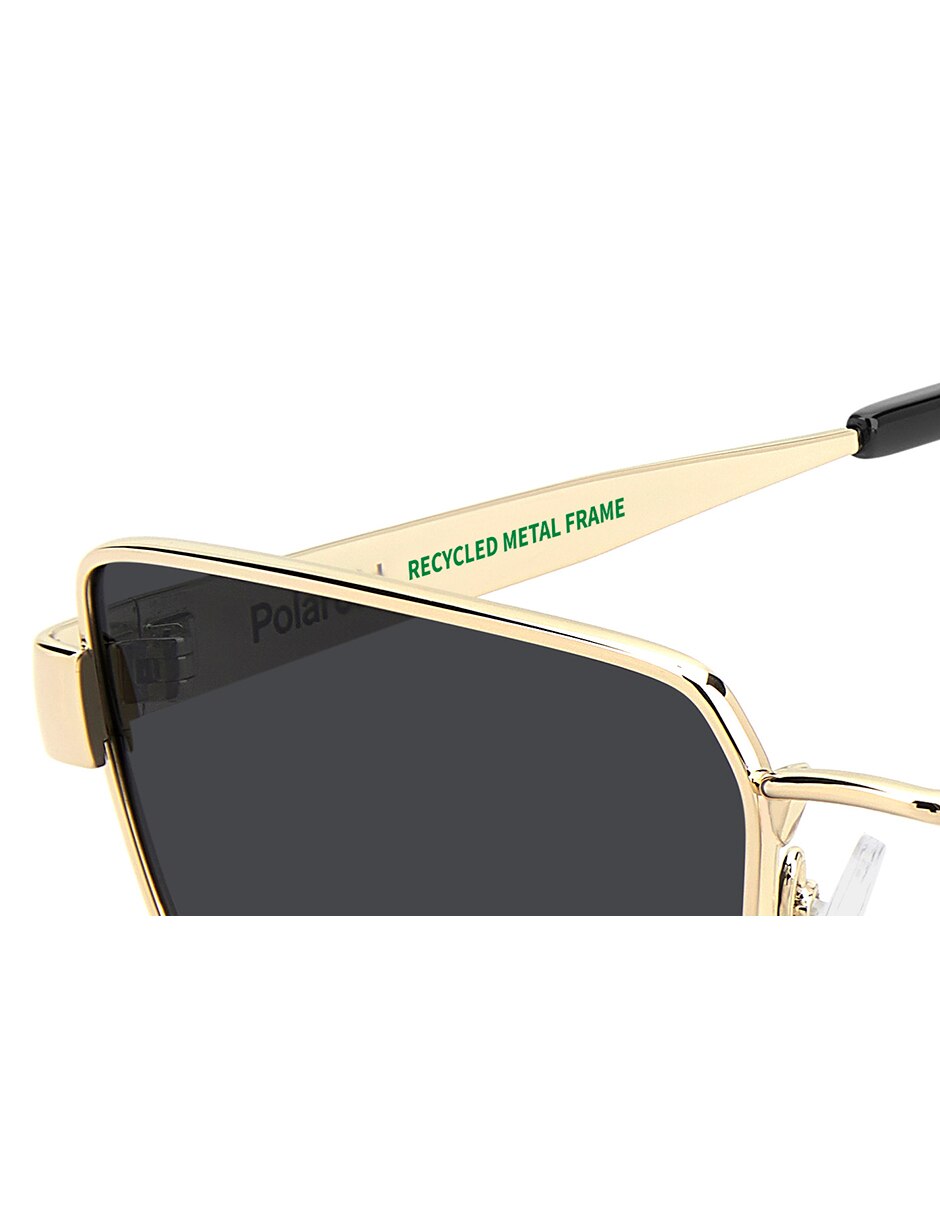 Lentes de sol PLD 6255/S/X para hombre 6