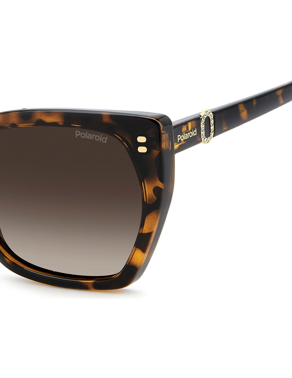 Lentes de sol PLD 4198/S/X para mujer 6