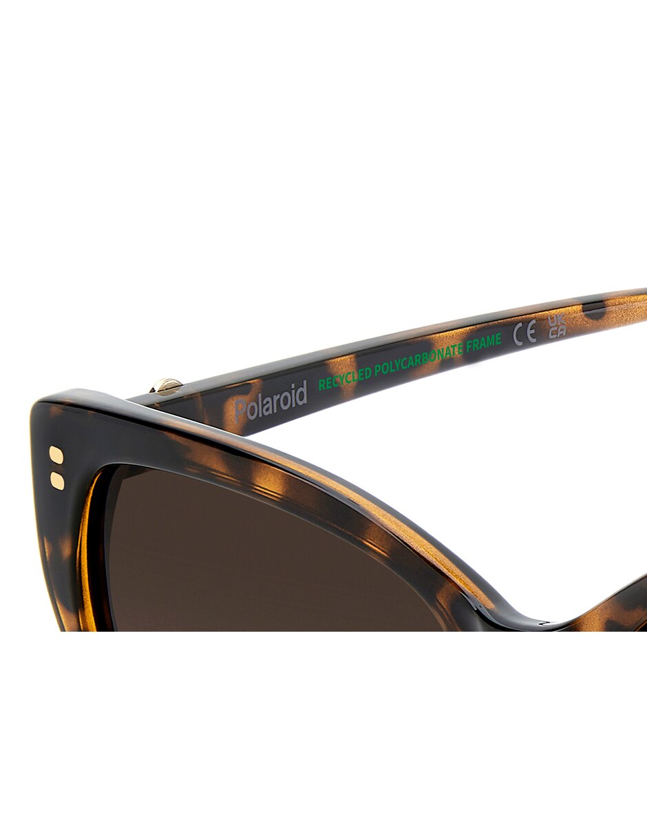 Lentes de sol PLD 4198/S/X para mujer 7