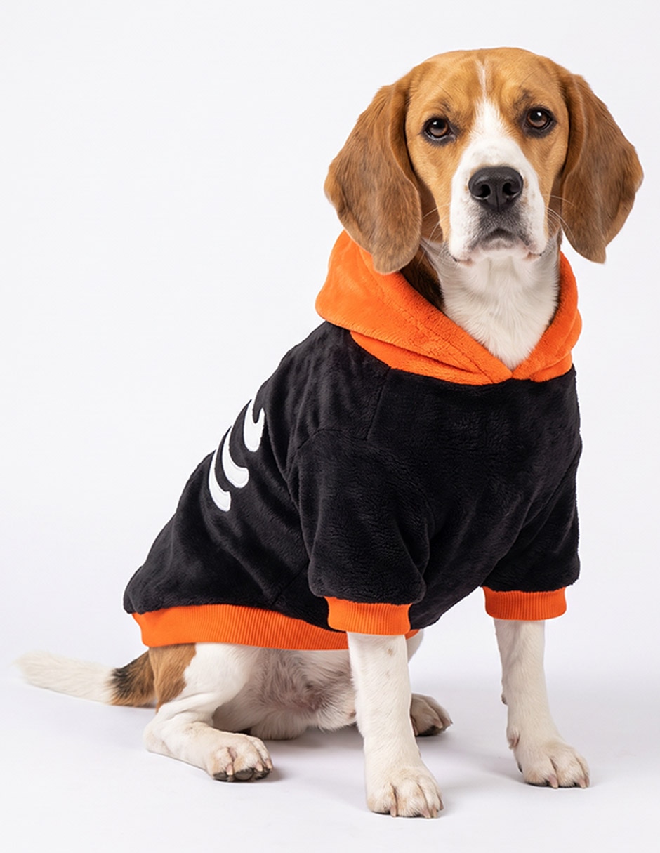 Suéter perro