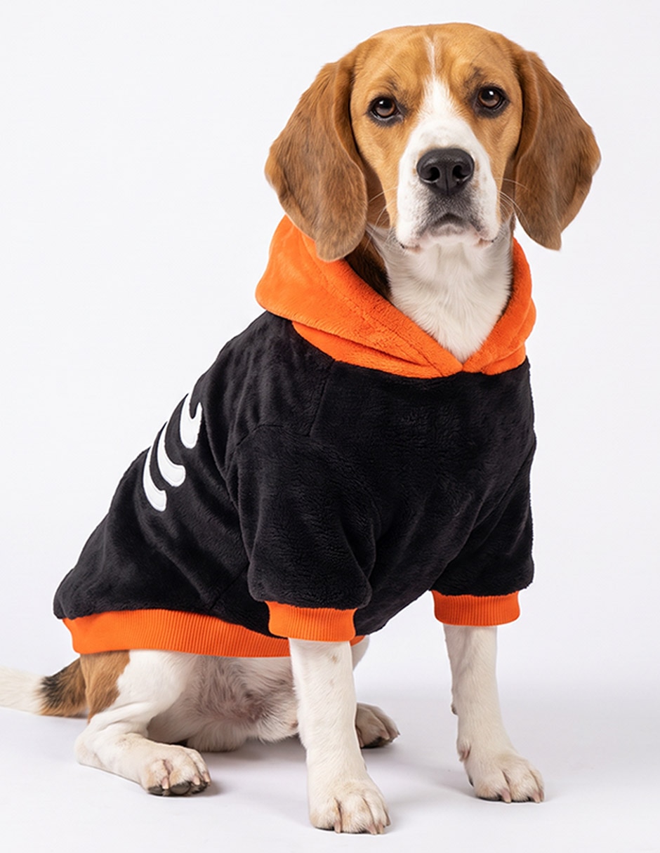 Suéter perro