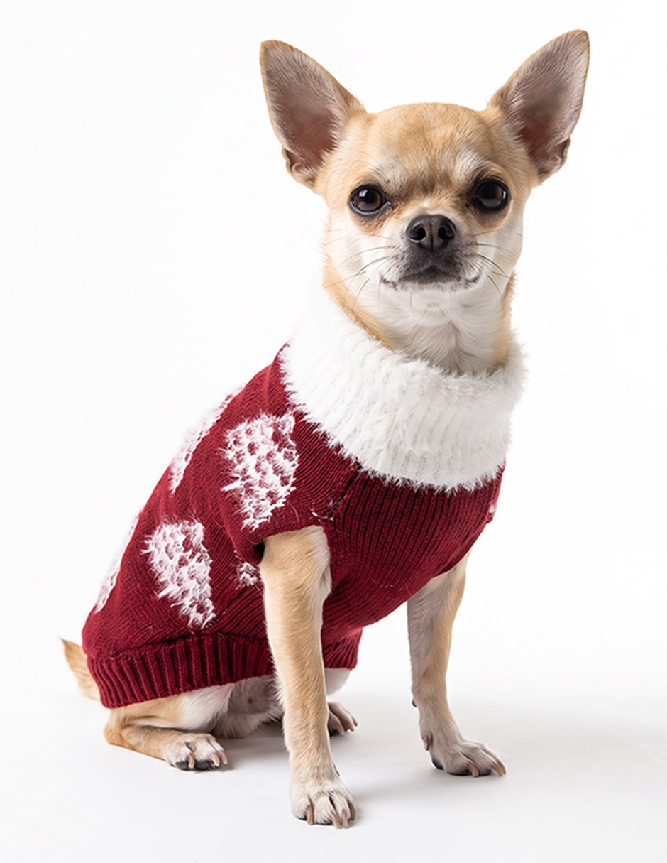 Accesorios mascota para perro Accesorios mascota para perro