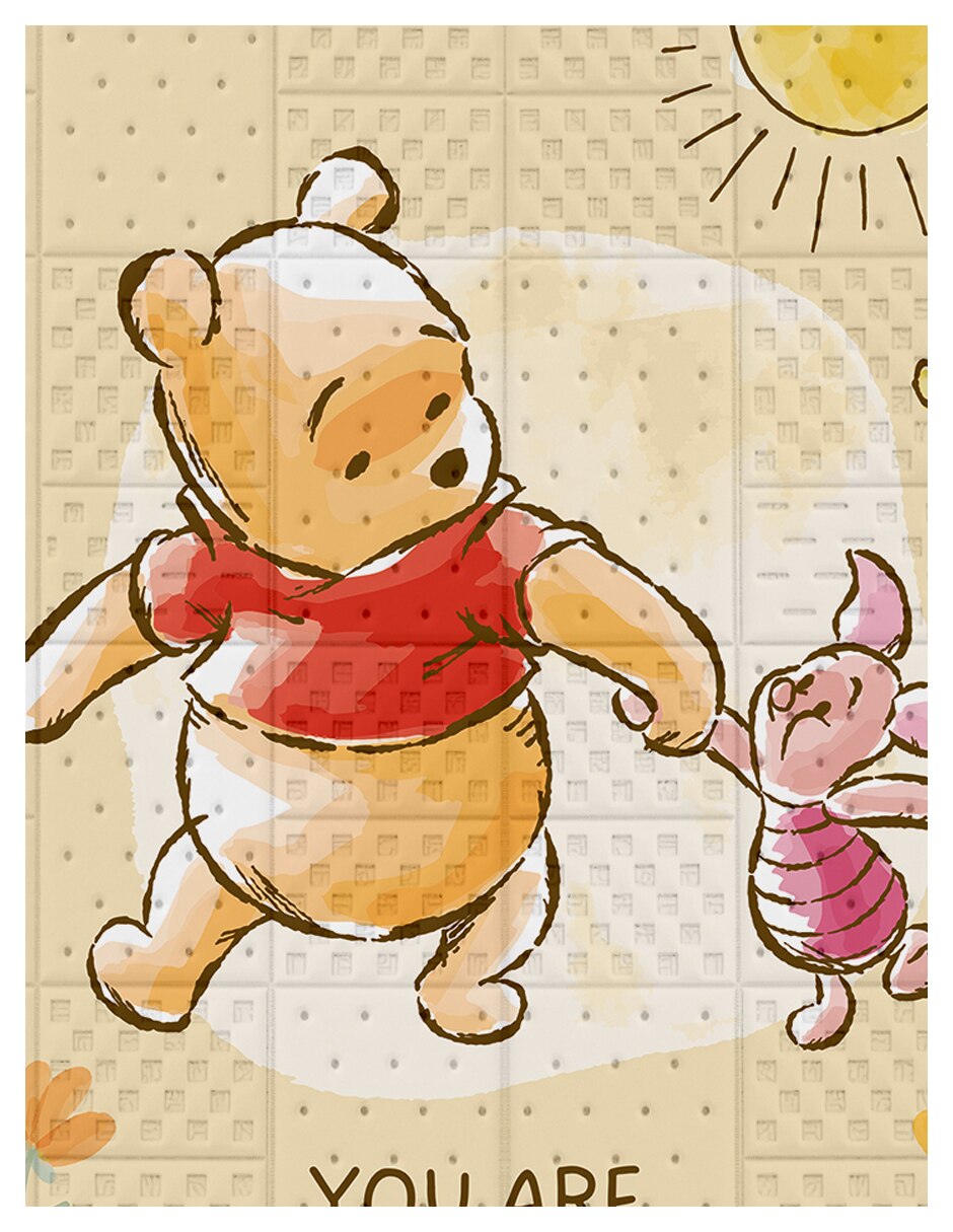 Cobertor Winnie Pooh 3