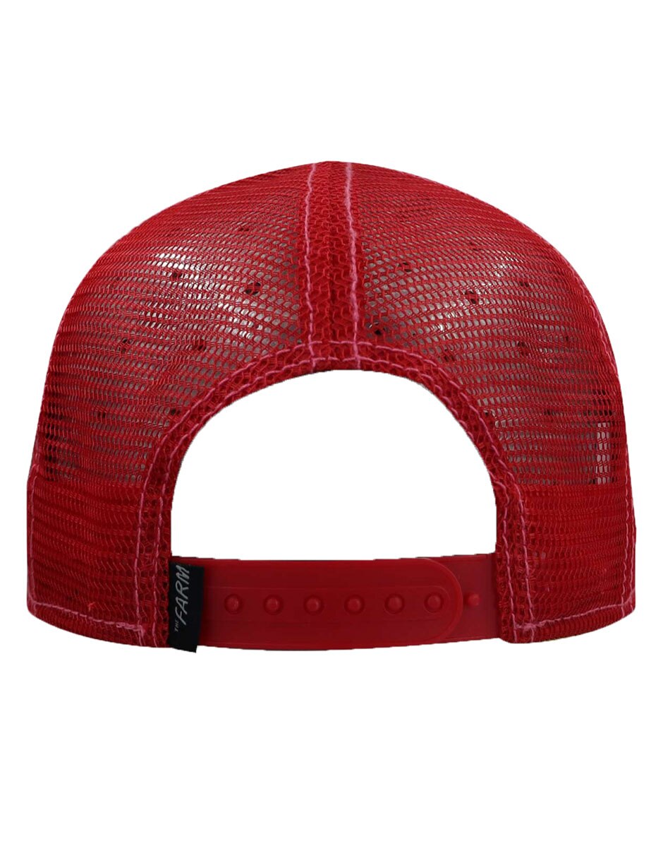 Gorra visera curva snapback para hombre 3